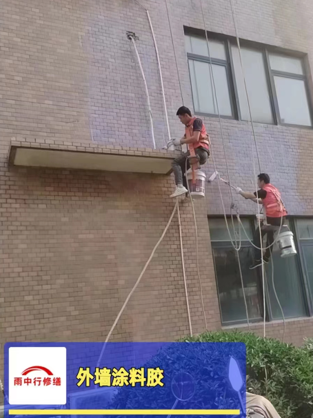 畜禽良种场外墙防水修缮